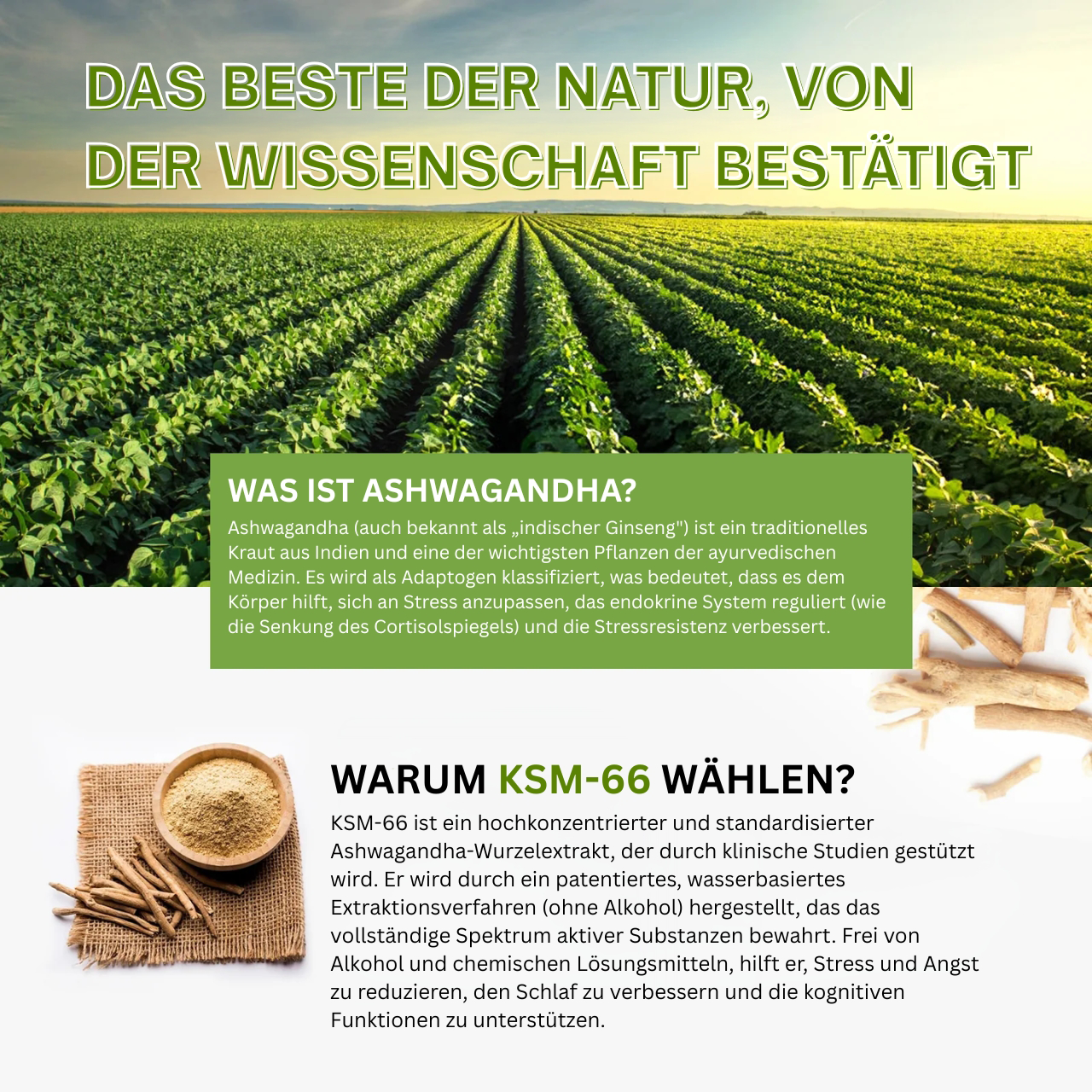 KSM-66 Ashwagandha kaufen Deutschland​