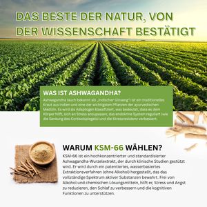 KSM-66 Ashwagandha kaufen Deutschland​
